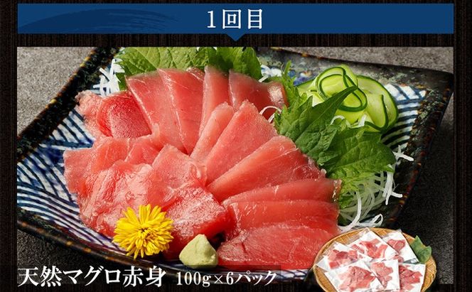 【3回定期便】カツオとマグロ堪能定期便B お楽しみ 切り落とし 刺身 刺し身 鮪 鰹 まぐろ カツオのたたき ネギトロ 海鮮 魚 惣菜 海産物 魚介類 魚貝 高知県 まぐろたたき 冷凍 訳あり 不揃い 傷 規格外 故郷納税 どんぶり お手軽 便利 30000円 室戸定期便 tk013