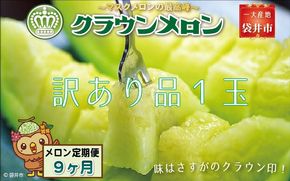 【9ヶ月定期便】クラウンメロン（訳あり）1玉入 メロン デザート グルメ 果物 フルーツ 季節の果物 スイーツ 袋井市 静岡県