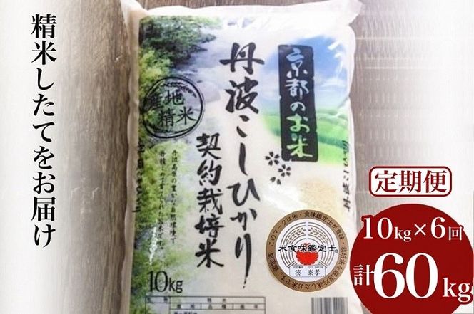 【定期便】米 京都丹波米 こしひかり10kg×6回 計60kg◇◆◇ 米 6ヶ月 白米 6回定期便 ※精米したてをお届け コシヒカリ ※毎月1回又は2カ月に1回 ※北海道・沖縄・離島への配送不可
