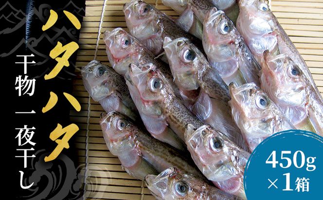 ハタハタ（特々大）干物 一夜干し 450g ×1箱【配送不可：離島】 魚貝類
