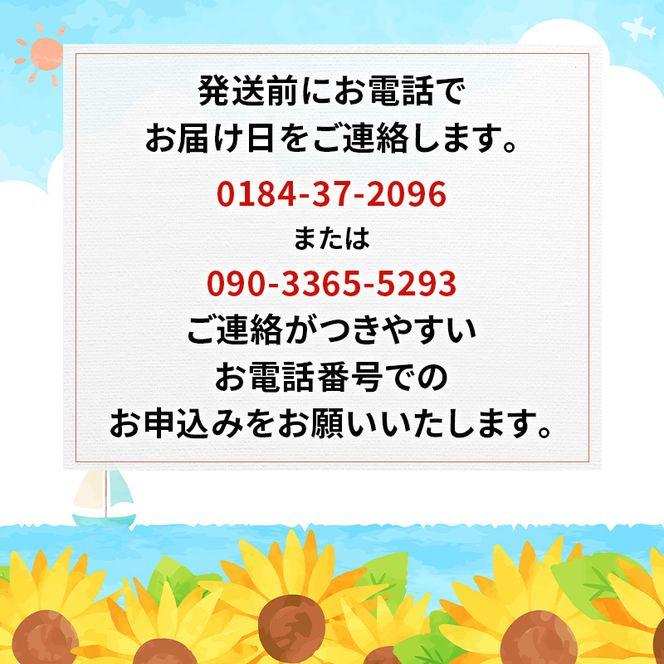【 先行予約 7月上旬～下旬発送予定】象潟産 天然岩牡蠣 10～12個 ナイフ付【 牡蠣 夏牡蠣 かき 象潟 生食可 魚介類 海鮮 海産物 海の幸 】