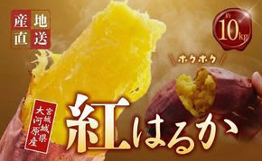 さつまいも 約10kg 紅はるか サツマイモ 宮城県産 甘い 秋 冬 スイーツ いも 産地直送 宮城県 大河原町