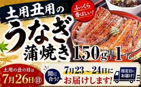 1165.【丑の日用】国産うなぎ蒲焼き大サイズ１本セット(A1165-1) 