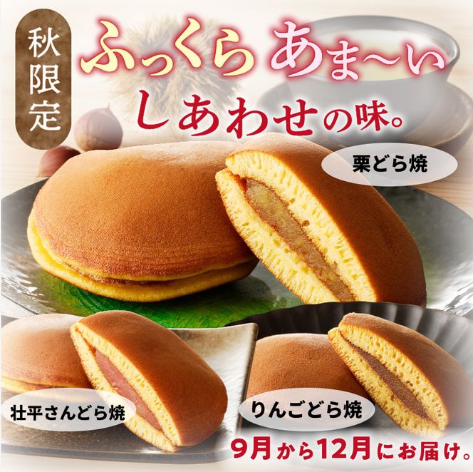 どら焼き　季節のセット ［009B14］ 和菓子 スイーツ デザート お取り寄せ 春セット 夏セット 秋セット 桜葉 レモンピール 栗きんとん りんご蜜漬 名古屋コーチン卵 備中白小豆 北海道産小豆 愛知県 小牧市 送料無料