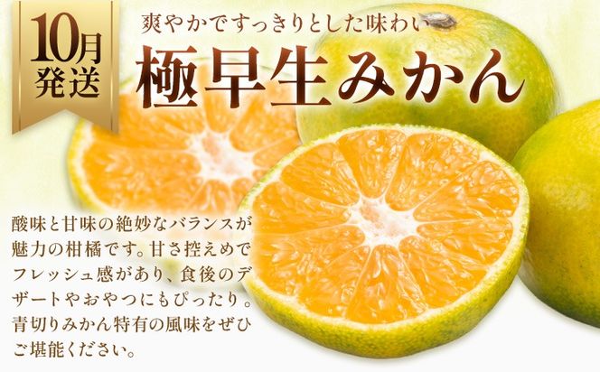 旬のフルーツ 定期便 2ヶ月連続 秀品 選べる 内容量 日本フルーツ株式会社《2026年9月上旬-10月末頃出荷》熊本県 長洲町 おまかせ 梨 極早生みかん 果物 フルーツ スイーツ デザート ギフト ご贈答---sn_nfustei_18000_mini_aug2---