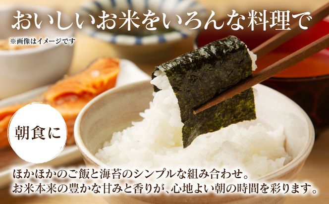 《令和7年産》 くまさんの輝き 5kg×1袋 米 お米 精米 白米 ごはん ご飯 おにぎり お弁当 熊本県 八代市