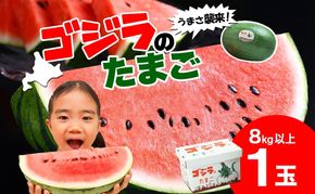 北海道 大玉 スイカ ゴジラのたまご 1玉 約8kg 2026年7月初旬より順次出荷 すいか 西瓜 果物 フルーツ 旬 希少 貴重 甘い ユニーク 国産 産地直送 ギフト お祝い 贈答品 贈り物 お取り寄せ エーコープつきがた