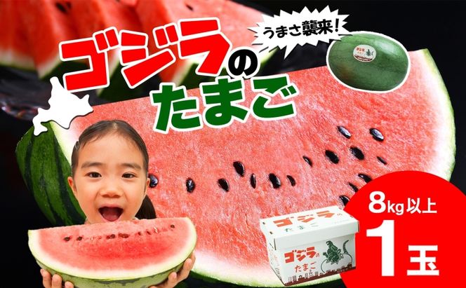 北海道 大玉 スイカ ゴジラのたまご 1玉 約8kg 2026年7月初旬より順次出荷 すいか 西瓜 果物 フルーツ 旬 希少 貴重 甘い ユニーク 国産 産地直送 ギフト お祝い 贈答品 贈り物 お取り寄せ エーコープつきがた
