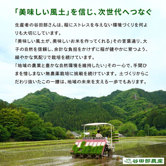 【金賞農家が栽培した家庭用米】立神米「にじのきらめき」5kg（白米）令和8年産 【谷田部農産】｜茨城県 大子町 奥久慈 大子産米 精米 米 コンテスト 受賞 生産者（BT061）