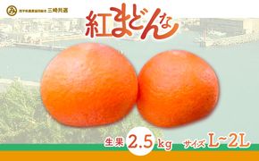 【先行予約】【贈答用】紅まどんな（生果2.5kg/L～2Lサイズ）※離島への配送不可（2026年12月上旬より順次発送予定） IKTBD002