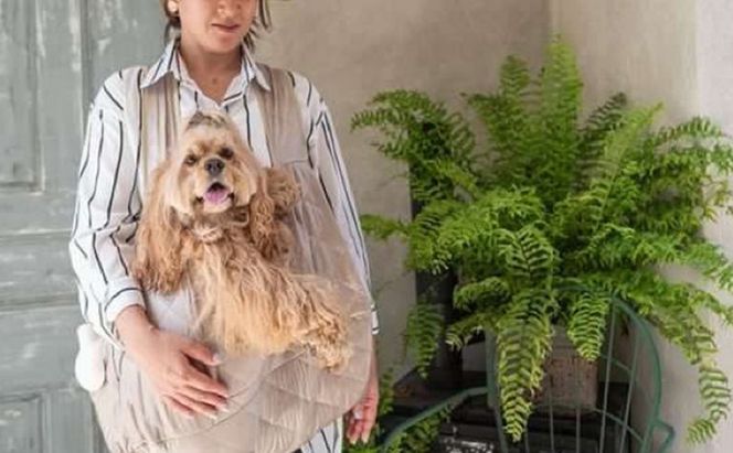 ペット用品 小型犬用スリングLサイズ(ピンク/ゴールド) ペット スリングバッグ ペットキャリー ペットスリング ドッグスリング ショルダー 抱っこ紐 バッグ お出かけ　within2024