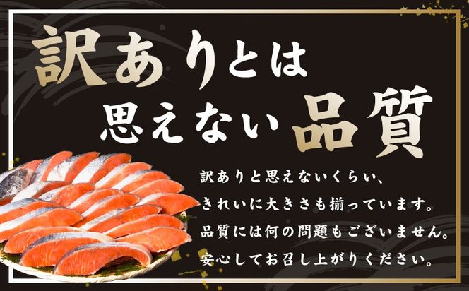 kgp0096 厚切り 銀鮭 切り身 3kg 20切れ前後【TVで紹介 訳あり サイズ不揃い 海鮮 魚介 鮭 さけ しゃけ お弁当 簡単調理 家計応援】