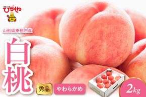 2026年産 白桃（柔らかめ） 2kg 秀品 山形県 東根市 hi082-048