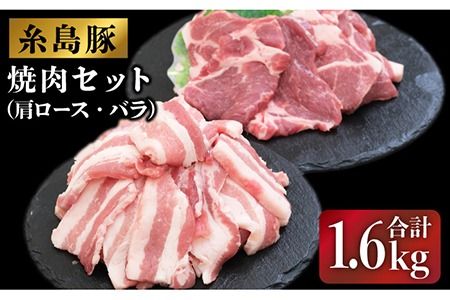 JA糸島 糸島豚 焼肉 セット 肩ロース バラ 糸島市 / JA糸島産直市場 伊都菜彩 [AED004]