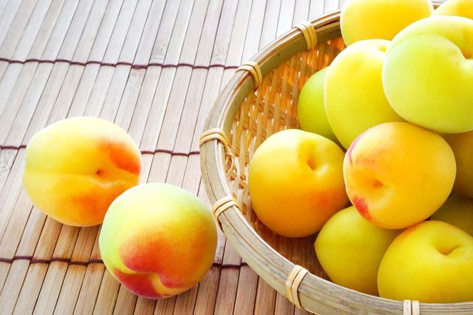 ［梅干・梅酒用］大玉4Lサイズ約10kg熟南高 生梅 ＜2027年6月上旬～7月中旬発送予定＞［ART22］ 303446_XL27