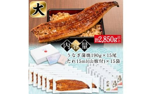 日ノ本一の鰻の蒲焼き＜大＞計15尾セット(計2,850g以上) wa24-006
