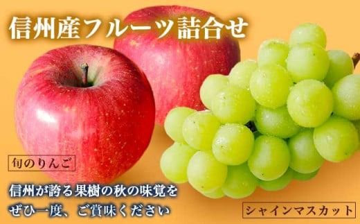 シャインマスカット1房とりんご2玉 詰め合わせ ［小布施屋］果物 詰合せ セット フルーツ ぶどう 林檎 シャインマスカット 数量限定 期間限定 先行予約 冷蔵便 クール便 長野県産 信州産 送料無料 令和7年産 【2025年9月下旬頃～11月上旬頃まで順次発送】 ［A-307］