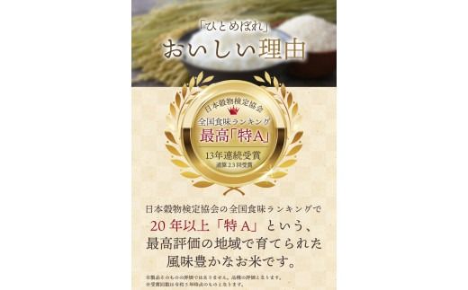 【選べる 白米・玄米・無洗米】【6か月定期便】令和6年産 平泉町産 ひとめぼれ 10kg 〈食味ランキング「特A」13年連続受賞〉/ こめ コメ 米 お米 おこめ 白米 ご飯 ごはん ライス 定期便 米定期便