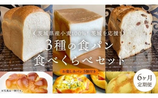 【 6ヶ月 定期便 】茨城県産 小麦 100％！ 茨城 を応援！ 3種の 食パン 食べくらべ セット 食べ比べ パン ギフト 詰め合わせ 冷凍 小麦粉 国産 [AU017ci]