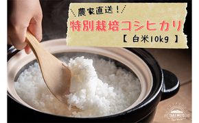 特別栽培コシヒカリ　白米10kg（5kg×2） お米 