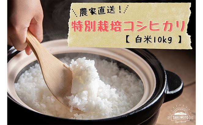 特別栽培コシヒカリ　白米10kg（5kg×2） お米 