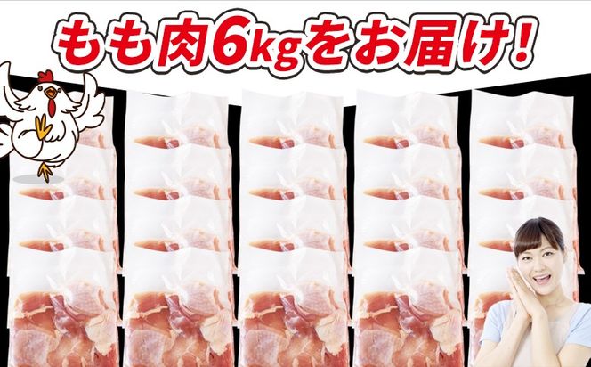 ＜宮崎県産若鶏切身 もも肉 6kg（300g×20袋）＞ 3か月以内に順次出荷 【 からあげ 唐揚げ カレー シチュー BBQ 煮物 チキン南蛮 小分け おかず おつまみ お弁当 惣菜 時短 炒め物 簡単料理 】【b0795_it】