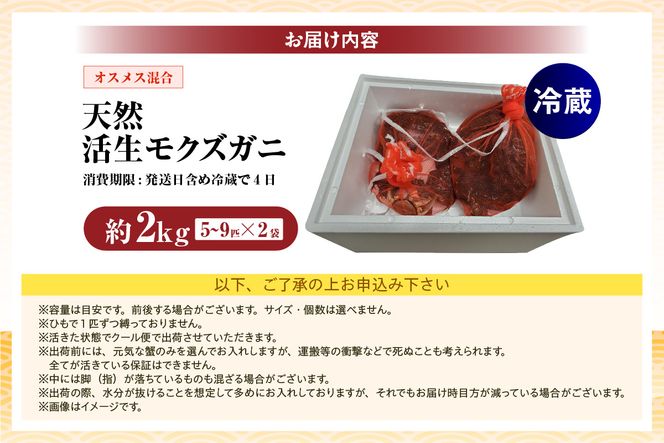 【天然 活生モクズガニ 約2kg 冷蔵】 国産 かに カニ 蟹 天然 活 生 モクズガニ もくずがに 川ガニ 川がに 人気 大人気 おすすめ 返礼品 ふるさと納税 兵庫県 香美町 香住 山米鮮魚 74-33