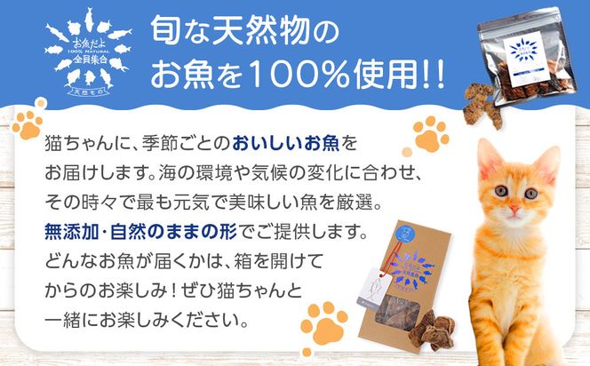 お魚だよ全員集合　季節のアソートセット 5,000円セット　ネコちゃん用｜ペット おやつ 猫 ペットフード 141305_KY04