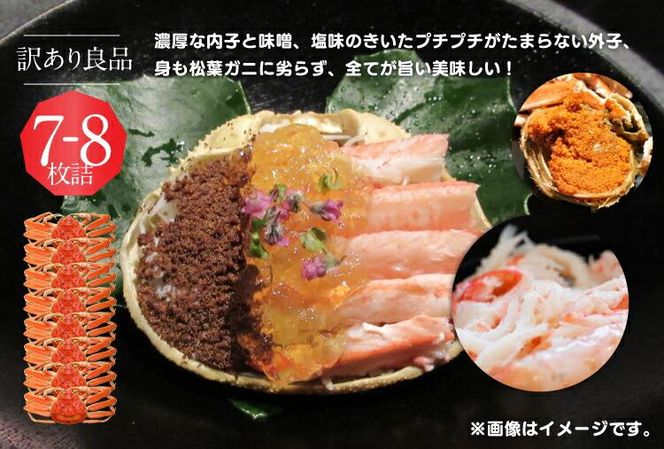 922.【ボイル】鳥取県産セコガニ　訳あり　良品7~8枚詰《かに カニ 蟹 セコガニ》※2025/11/6～2025/12/25に順次発送予定※着日指定不可  離島不可（北海道、沖縄本島は配送可能） 313726_AL002VC02