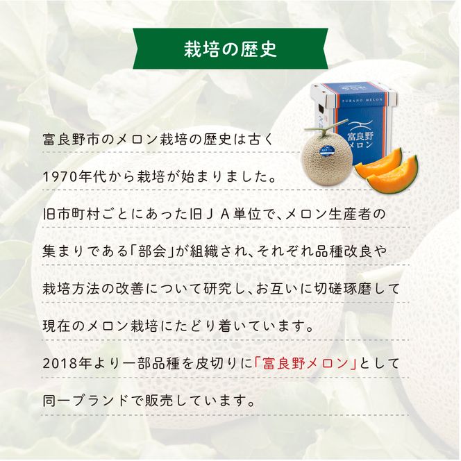 【2026年8月発送】JAふらの 赤肉メロン 約2.5kg×1玉 富良野市 メロン フルーツ 果物