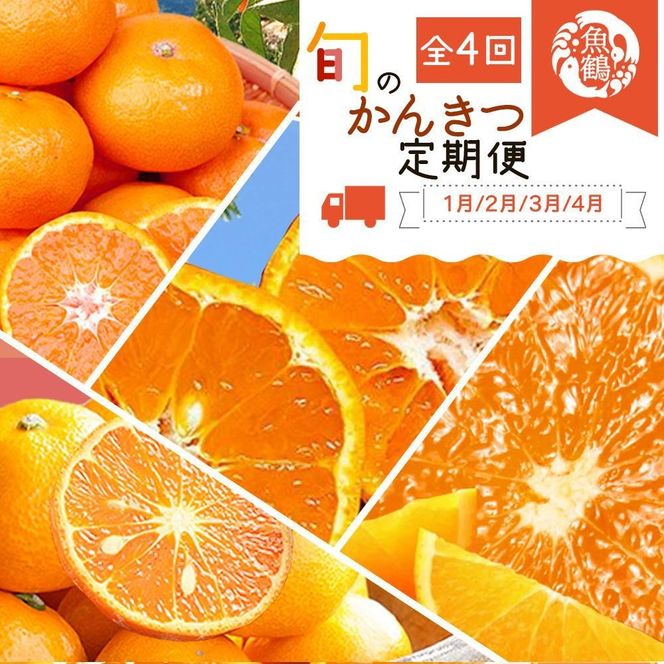 【1・2・3・4月 全4回 定期便】紀州和歌山産旬のご家庭用柑橘セット(みかん・不知火・せとか・清見) AN062