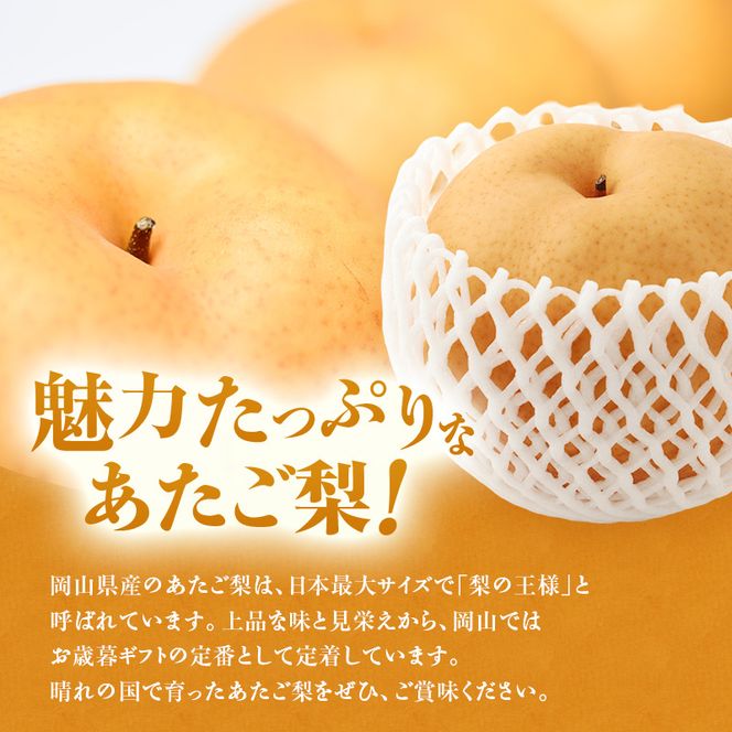 【2026年先行受付】 梨 あたご梨  秀品 約4kg(3～6玉) 岡山名産 日本一大きな梨 なし ナシ お歳暮 ギフト 御礼 プレゼント 御礼 御祝 御供 果物 くだもの フルーツ