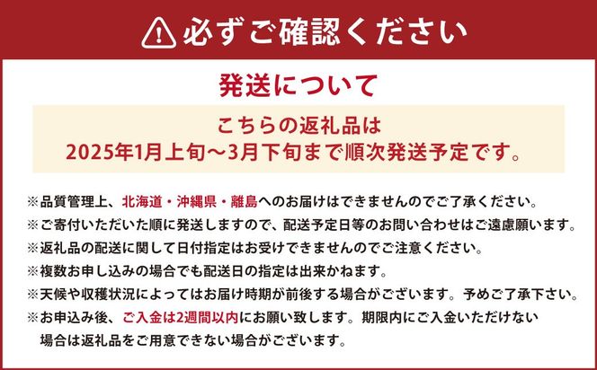 あまおう4パックセット 約250-270g×4パック（2L・2A・G規格以上）【数量限定】 いちご 苺 あまおう 果物 くだもの フルーツ 肉厚 ジューシー 福岡県産 【2025年1月上旬～3月下旬発送予定】