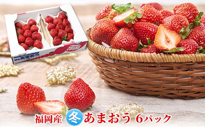 いちご あまおう 6パック 1Pあたり約250g以上 福岡のいちご 苺 本来の酸味と甘み 冬 配送不可 離島 果物類 イチゴ 
