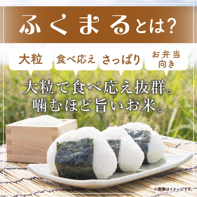 令和7年産 茨城県産 ふくまる10kg（5kg×2袋）【お米 米 コメ こめ フクマル 精米 40000円以内】(AL367)