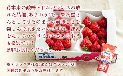 福岡産あまおう２パック＆練乳 先行予約※2024年11月下旬～2025年4月上旬にかけて順次発送予定　AX017