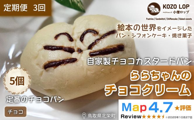 1140.【定期便3ヶ月】鳥取県産 人気キャラクターパン 自家製チョコカスタードパン ららちゃんのチョコクリーム 5個×3回 313726_BD021