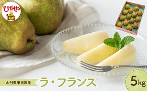 【2026年産】 洋なし「ラ・フランス」 5kg よってけポポラ提供 hi003-168