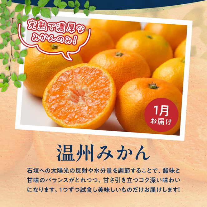 G60-T98_【発送月固定定期便】紀州和歌山産旬のご家庭用柑橘セット(みかん・不知火・せとか・清見)全4回