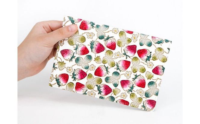 ケース パーソナルホルダー いちご 文庫屋大関 ポーチ 通帳ケース 通帳入れ カードケース パスケース 通帳 お薬手帳 収納ポーチ 保管ケース 本革 革 皮革 雑貨 おしゃれ 日本製 東京