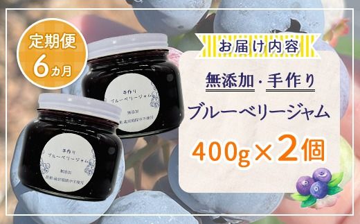 【定期便6カ月】北海道 豊浦町産 無添加手作り ブルーベリージャム400g×2個 TYUS012