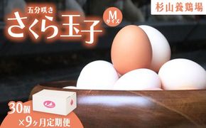 【定期便9ヵ月】純国産鶏さくらちゃんが産んだ桜色のさくら玉子 五分咲き（Mサイズ）30個 ｜ 卵 鶏卵 たまご タマゴ 生卵 たまごかけご飯 濃厚 甘み 国産