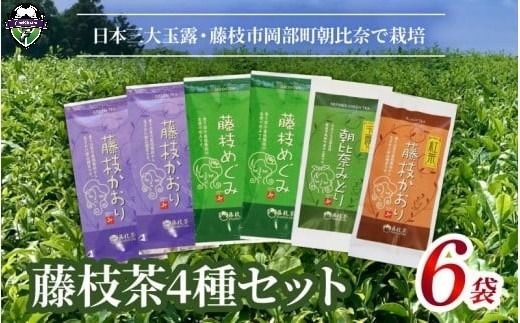お茶 詰合せ  4種 6袋 セット 緑茶 煎茶 紅茶 玉露 藤枝茶 藤枝かおり 藤枝めぐみ 日本茶 和紅茶 詰め合わせ 静岡茶 飲料 茶葉 飲み比べ 静岡県 藤枝市