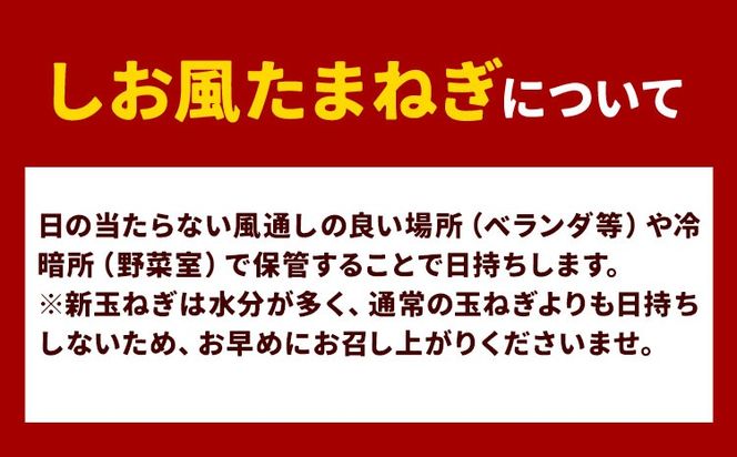 新玉ねぎ【2025年先行予約】 しお風新たまねぎ 約5kg 《5月中旬-5月末頃出荷》 玉ねぎ 新たまねぎ 玉葱 たまねぎ 新玉 野菜 青果物 岡山県 笠岡市---223_1051_5c5m_24_4500_5kg---