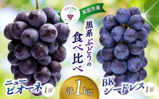 【2026年先行予約】 岡山 花笑み農園の『ニューピオーネ&BKシードレス』1kg(2房) 2026年9月中旬～ 受付順に発送予定 【hana026-02】