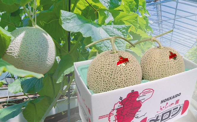 富良野産 キングメロン 大玉 2玉 秀品 計4kg 赤肉 メロン 富良野メロン 果物 フルーツ 甘い ジューシー 新鮮 ブランドメロン 贈り物 ギフト おやつ 夏 北海道 富良野市