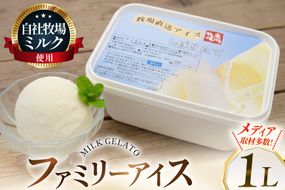 テレビで紹介！ アイス ジェラート ミルク 1L ファミリーサイズ [岩瀬牧場 北海道 砂川市 12260967] 冷凍 アイスクリーム 詰め合わせ スイーツ