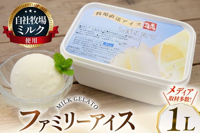 テレビで紹介！ アイス ジェラート ミルク 1L ファミリーサイズ [岩瀬牧場 北海道 砂川市 12260967] 冷凍 アイスクリーム 詰め合わせ スイーツ