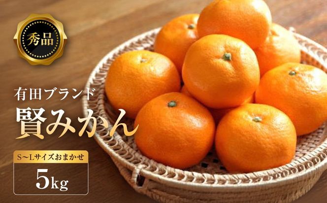 ［秀品］有田のブランドみかん「賢みかん」5kg（サイズおまかせ）［2026年11月中旬頃より順次発送］ BZ010