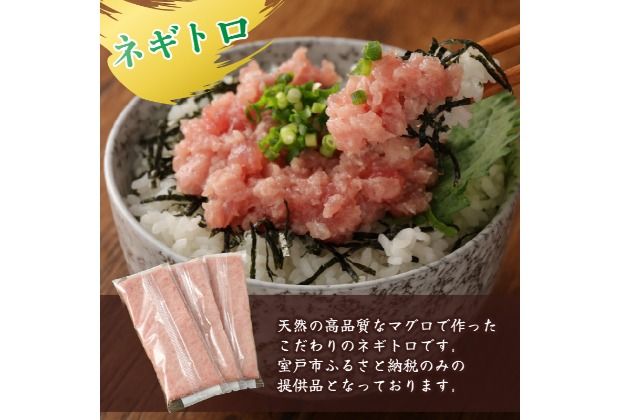 【 全2回定期便 】ネギトロ と カツオ の 定期便 海鮮 鮪 鰹 定期 セット まぐろ カツオのたたき ネギトロ 中トロ 刺身 海鮮 鰹 冷凍 魚 海産物 魚介類 高知県 まぐろたたき 鮪 藁焼き わら焼き タカシン定期便 海鮮定期便 頒布会